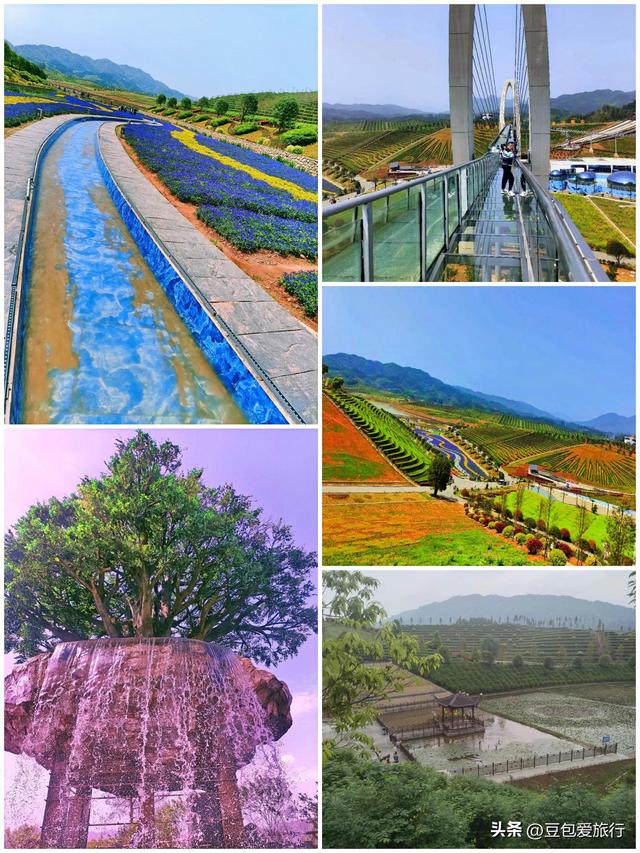 益阳漫游指南——竹海茶香与古巷时光，一场不赶路的湘中之旅