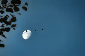 故事 · 典藏 | 不能说的秘密图片