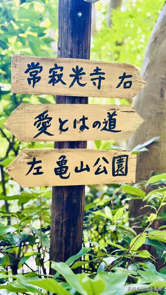 在京都最热的天，我抢到了那节“没顶”的5号车厢