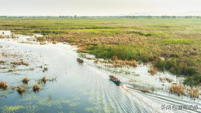 溯流鸭绿江：探秘长白南麓的冷水鱼王国