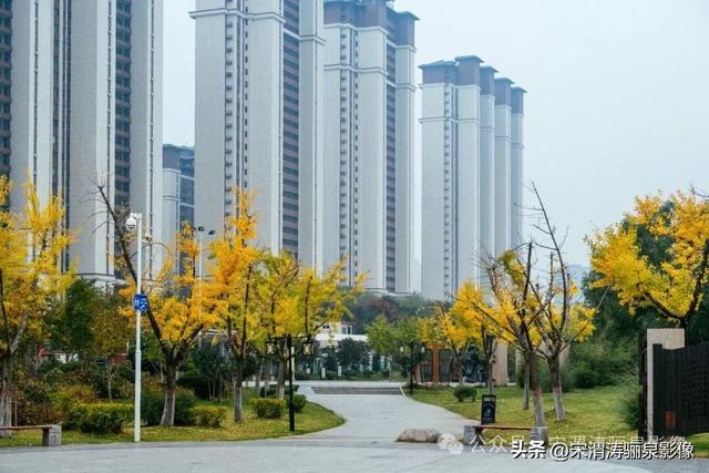 陕西渭南：人和公园亭台楼阁 秋色宜人 风光无限好