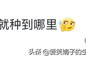 谁懂啊！十几个华人在法国开垦荒地种菜，我却笑死在评论区！图片