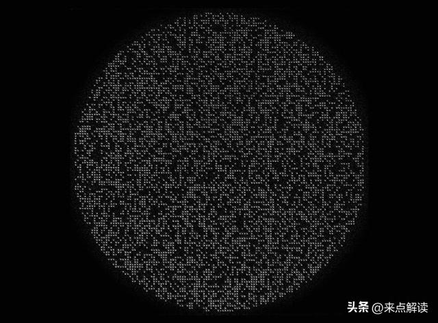 6100量子比特登《自然》！加州理工突破量子计算瓶颈