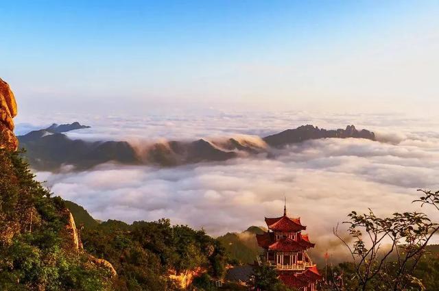 河南白云山的11月，才是秋色顶配！解锁90%游客不知道的神仙玩法