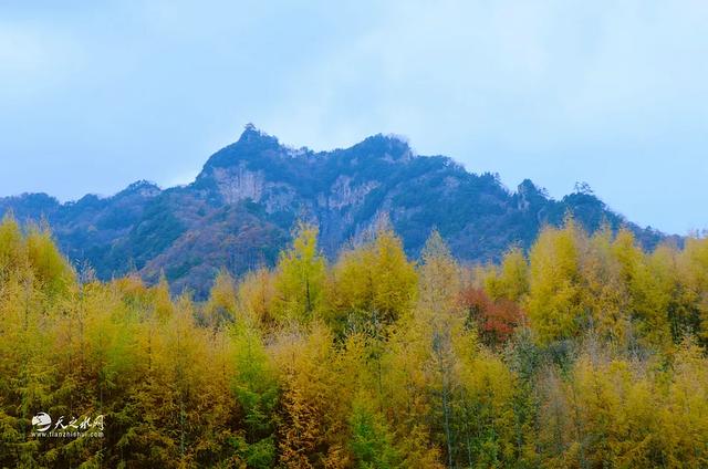 秋染天水白音山双乳峰:一幅大自然馈赠的立体画卷