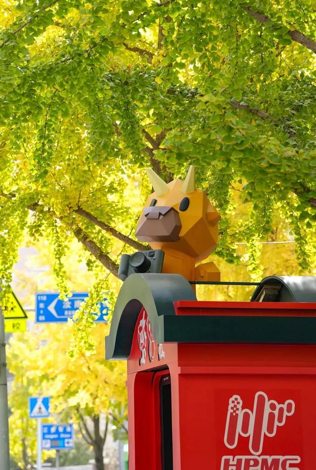 出片率100%！上海人都在找这个“限定露台”！这条“银杏大道”好拍又好吃！