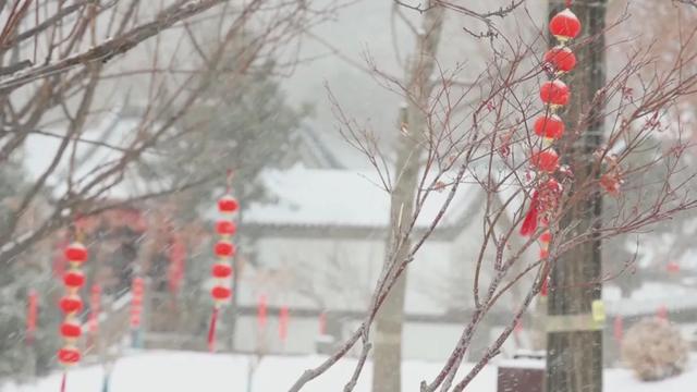 收好这份石家庄“雪景打卡地图”！走起→