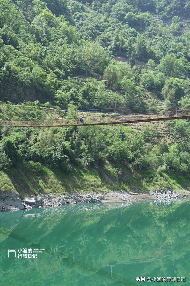 西安出发3h，陕川交界“小重庆”，超治愈的高山茶园！风景绝了