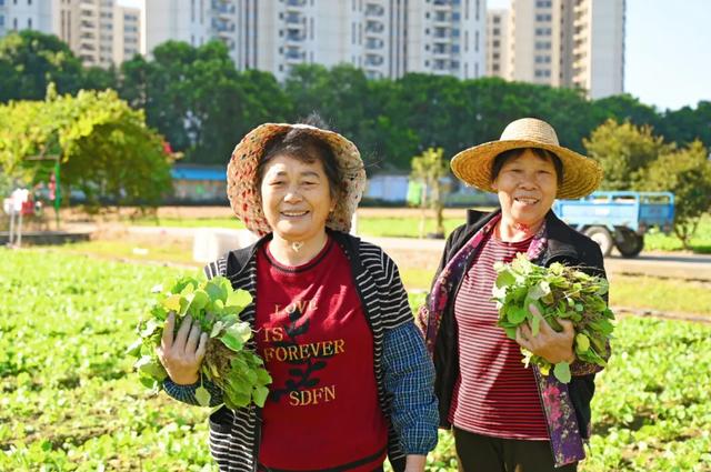 石碣好 “景”!拥抱生态绿地,感受田园风光~