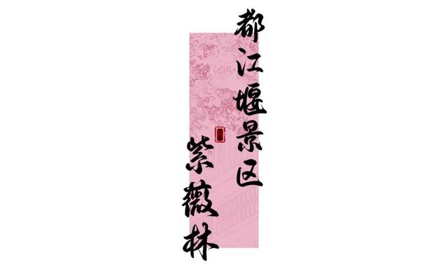 今年都江堰的紫薇，我追定了🤜