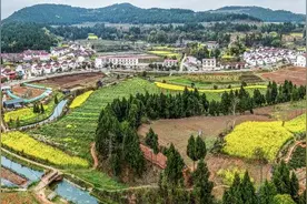 农村土地二轮到期延包试点的实践成效、主要问题与完善建议图片