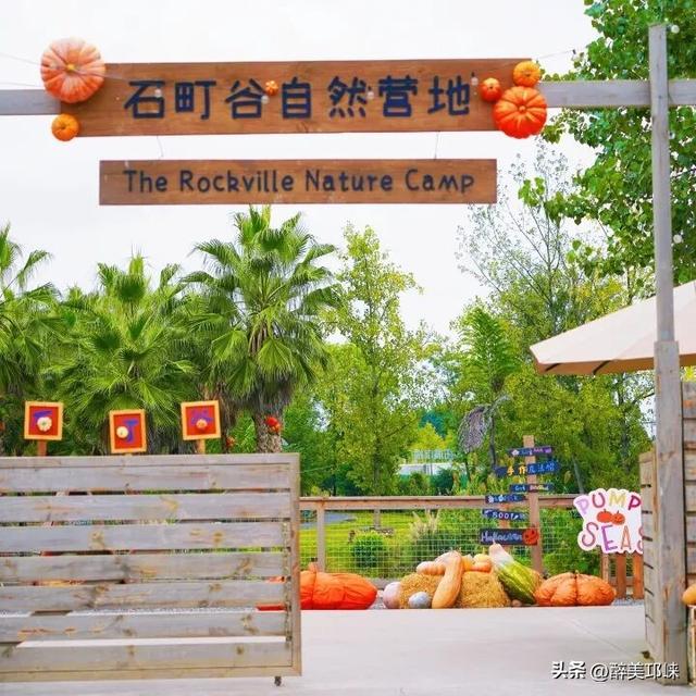 听劝！深秋一定要来邛崃这个“南瓜”露营地，太出片了！