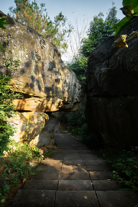 爱你老己，周末仁寿见！