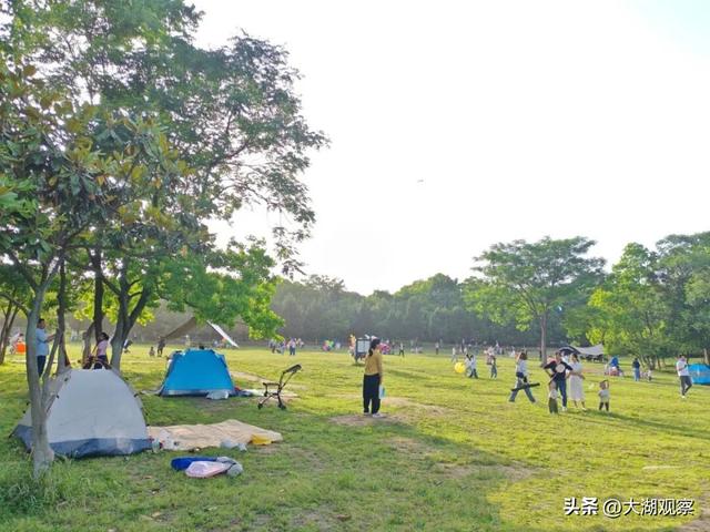 乘地铁，邂逅合肥最美秋色！