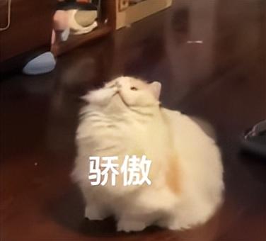 什么快递这么火，非得爸妈们亲自拆？爸妈：拆封权必须到手哈哈哈