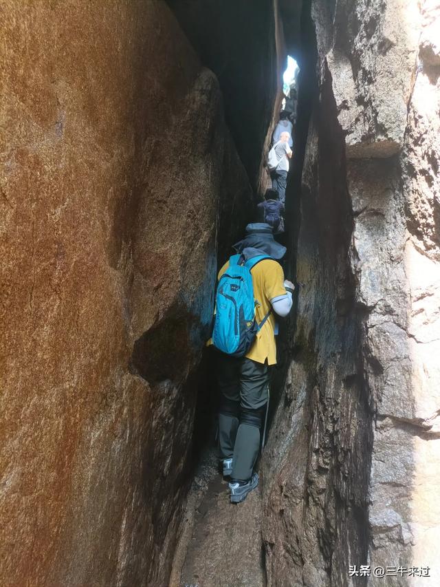 无为在歧路，避暑去鲁山