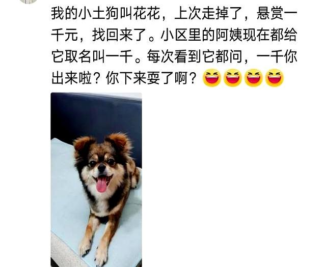 笑麻了！你的宠物有什么别致的名字？网友：你的全家桶做完了
