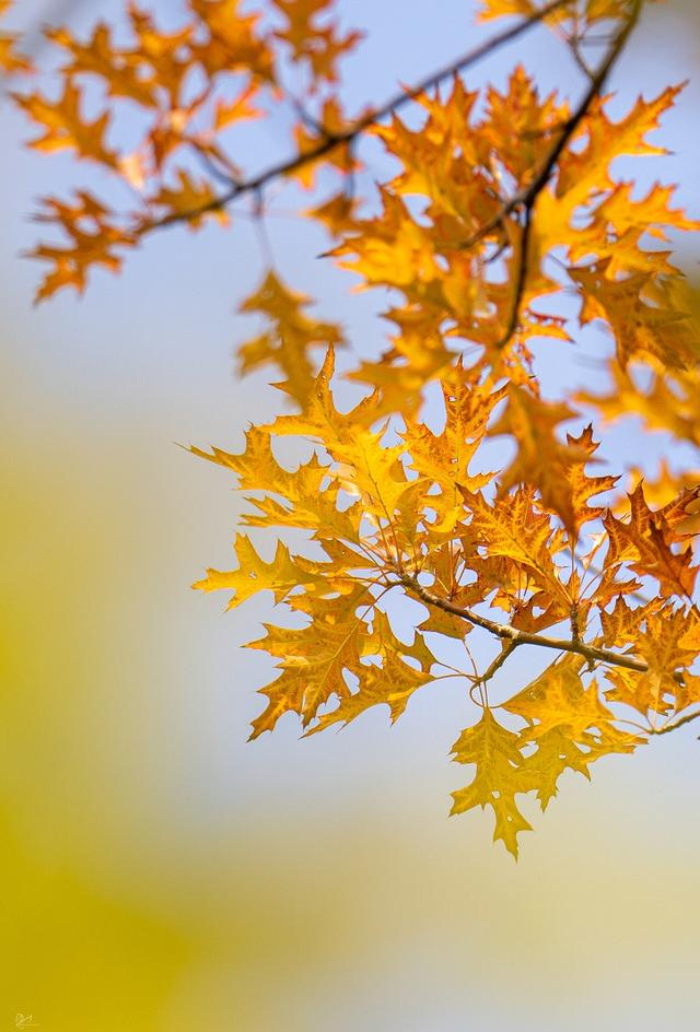 从百年古刹到水上森林：解锁上方山秋冬宝藏打卡地