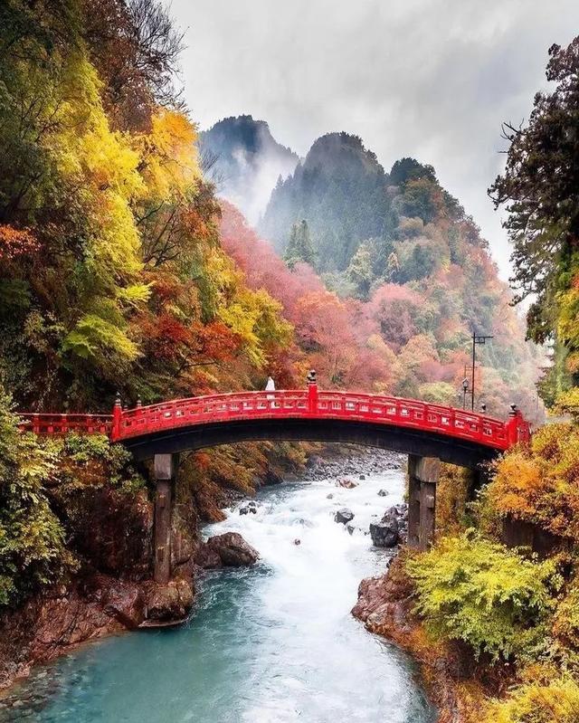 京都红叶狩完全攻略：从绝景到舌尖的秋日盛宴