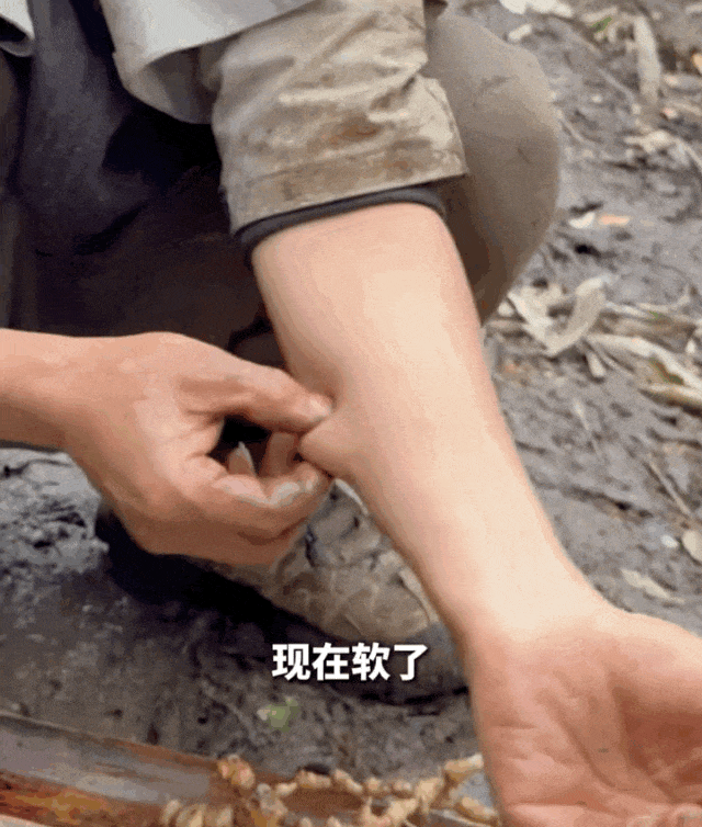 为了治疗精神内耗	，他们脱下长衫去山里当起了野人