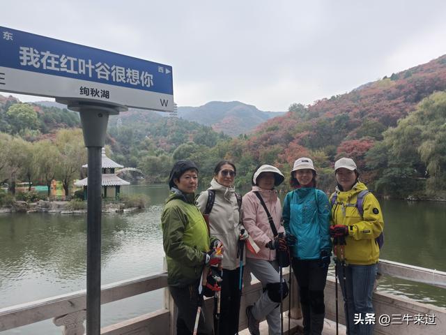 无为在歧路，济南红叶谷