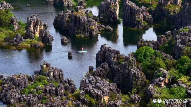 美上央视！季节限定！快去打卡昆明这个水墨仙境，机位、时间、交通等超详细攻略来了！