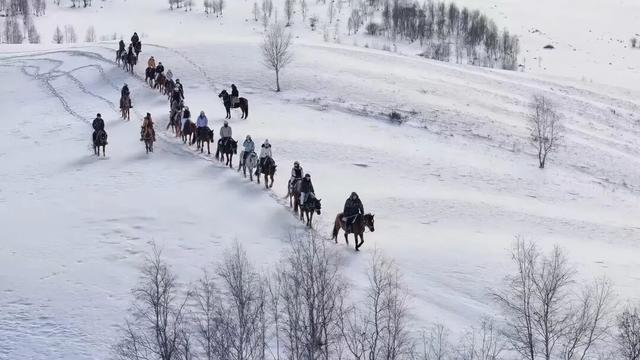 绿脉永续 品牌赋能 聚商共赢——写在呼伦贝尔大草原北京招商推介会启幕之际