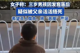 3岁男童发育迟缓被父杀害，母亲发声字字泣血：被杀死的不止孩子图片