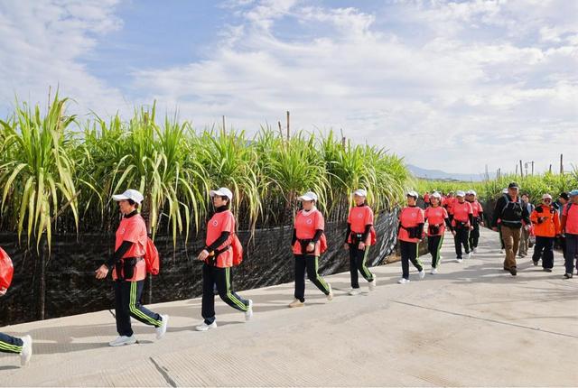 千人徒步丈量“功夫永春” 文体旅融合展县域魅力