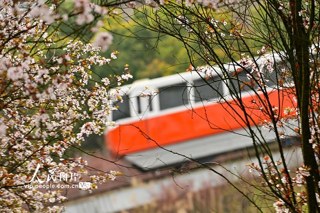 重庆：开往春天的列车