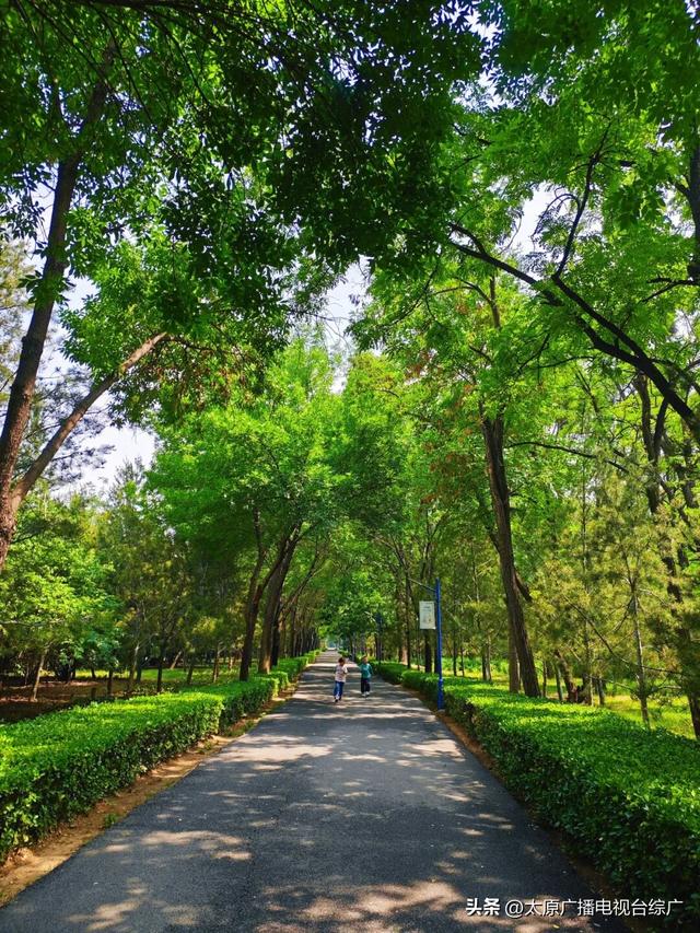 遇见·尖草坪丨不费家长、专治无聊，尖草坪这些地方娃娃们都玩疯了~