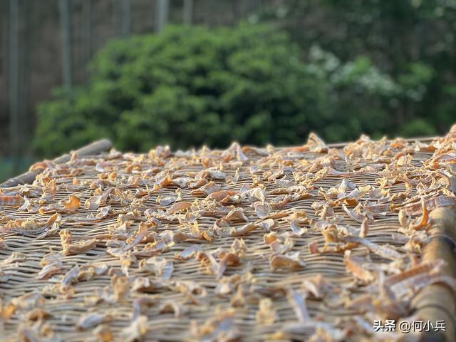 从湖㳇到丁蜀：一条罨画溪，藏着明代宜兴的两种活法