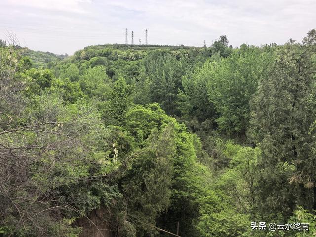 蓝田这村子人才济济，当朝正三品官员都不算啥，有传承就是不一样