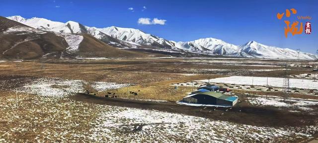 【小陇画报·424期】张掖：深秋时节 雪降祁连成诗画