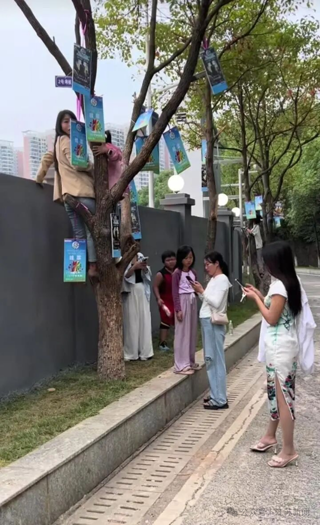 苏超湘超赣超谁最火