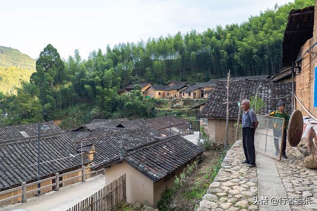 走遍浙江古村落，为了看一棵枯树，我骑行一千公里来了两趟松阳