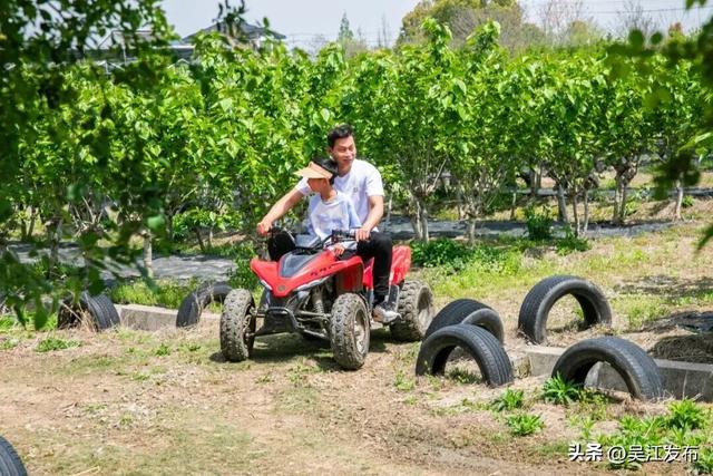 66.32万人次！吴江太“兴”了！