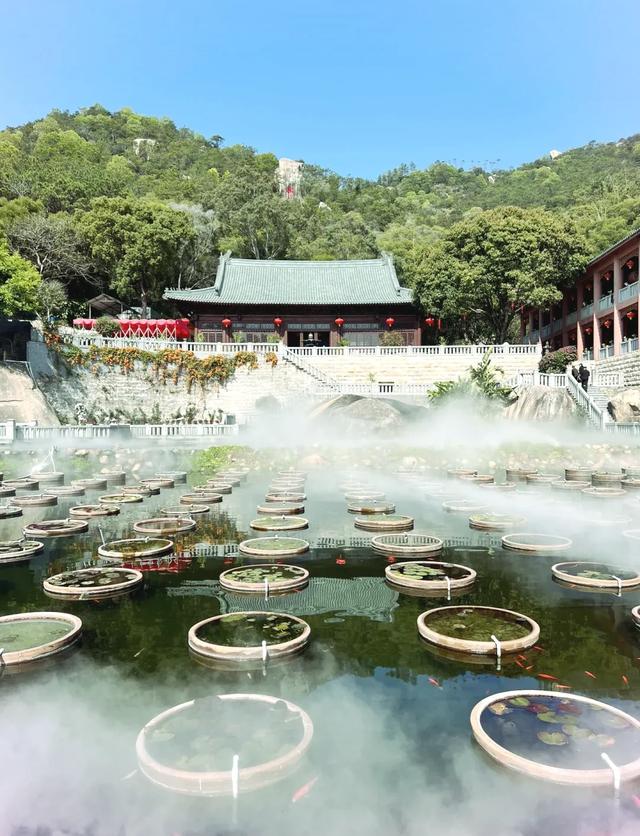 [福建 厦门市海沧区]