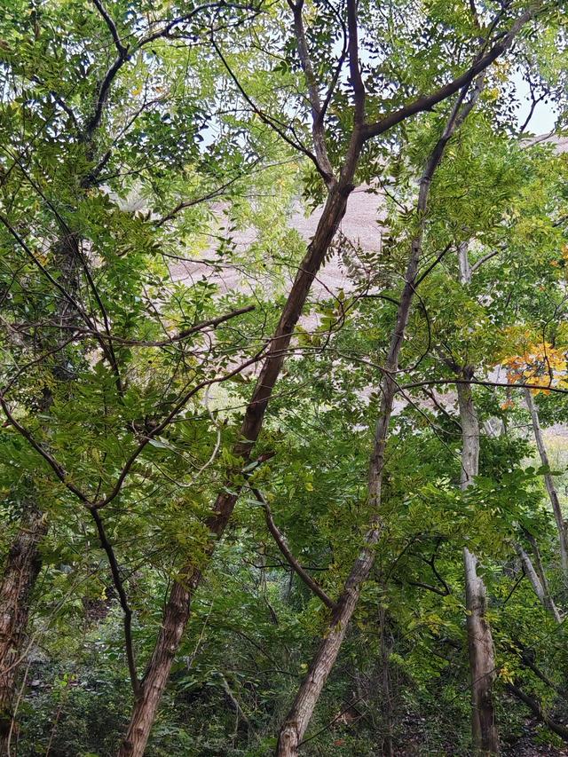 一关锁三川——剑门关咏叹