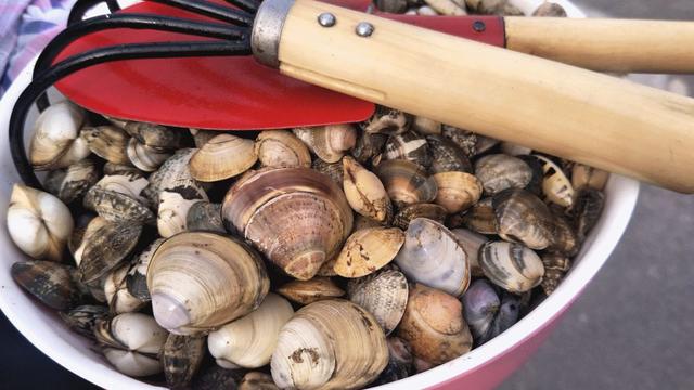 全球榜！中国榜！日照入选三大榜单！2026必来打卡！