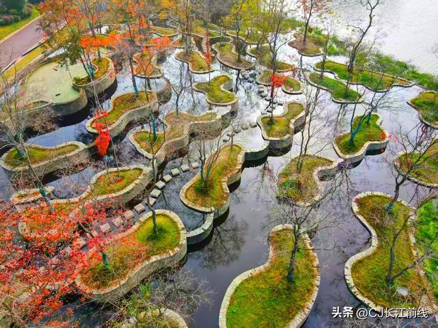 河南淮滨：初冬文化园更艳丽