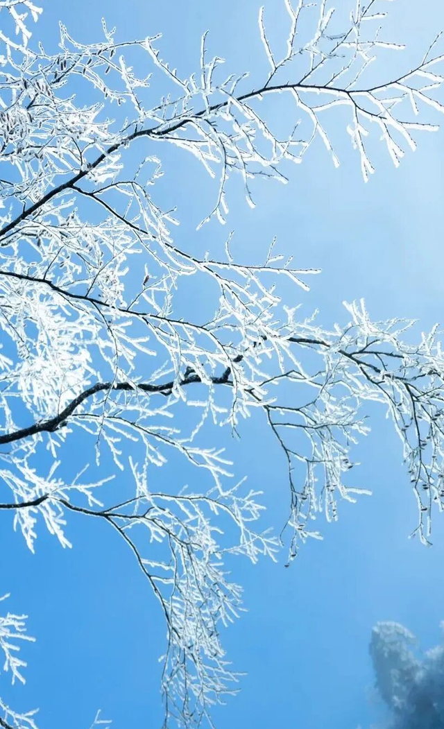 【雪景预告】看雪不必出远门！雅安的冬天超超超美！