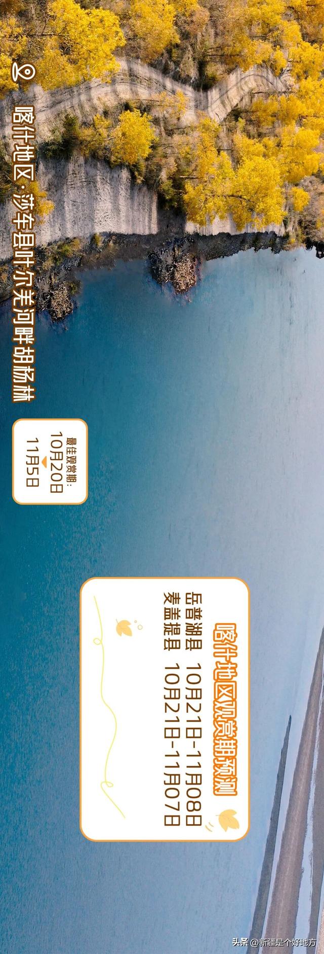 新疆赏胡杨最全攻略