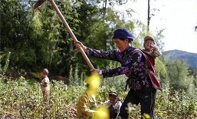 边牧撞碎100万玉镯，被主人暴打后卖到狗肉馆，3天后主人回家傻眼
