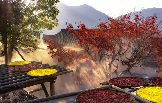 11月中旬-12月中旬，适合去的7个赏秋胜地，秋意渐浓，秋景斑斓