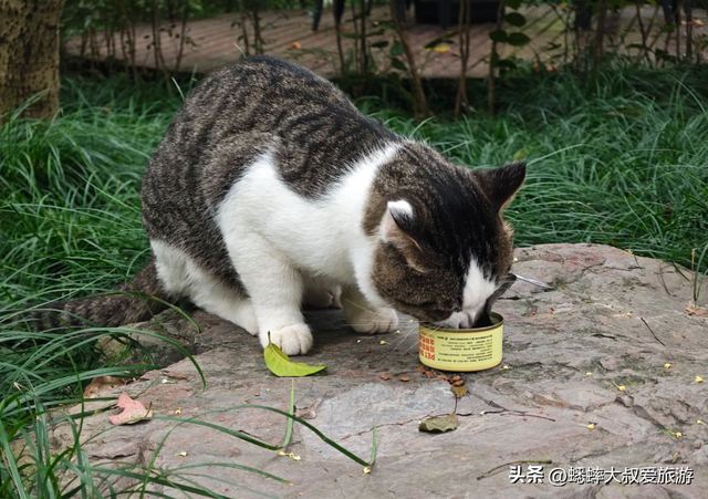 杭州九溪十八涧攻略怎么做？秋日该怎么选定路线？什么注意事项？