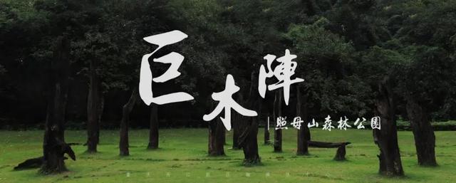来照母山徒步，偶遇不为人知的小众打卡地~