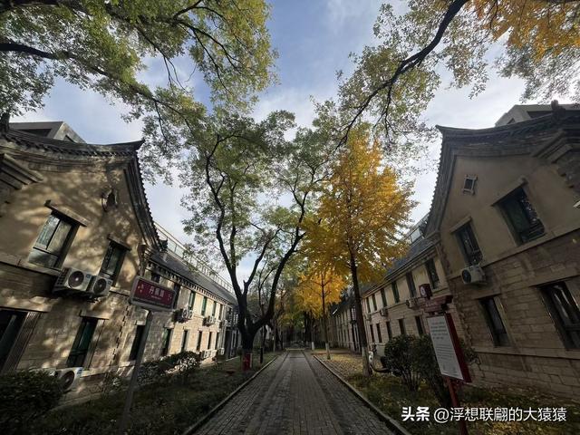 俺那天进齐鲁大学里面来了一场时空旅行（山东大学趵突泉校区）