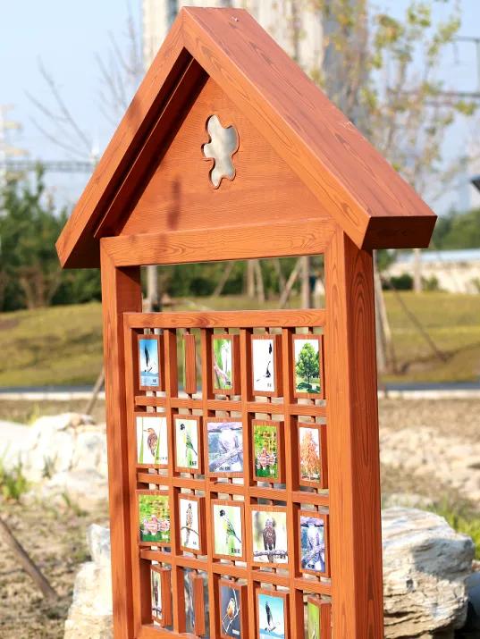 丰台的公园又双叒叕上新啦!