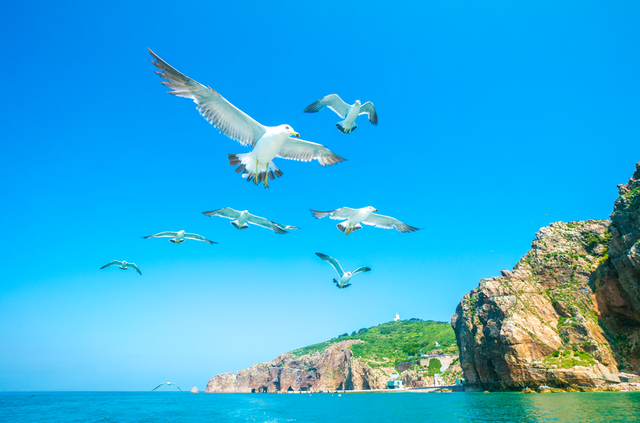 董宇辉向世界推荐，“请花几天时间去山东”！